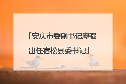 安庆市委副书记廖强出任宿松县委书记