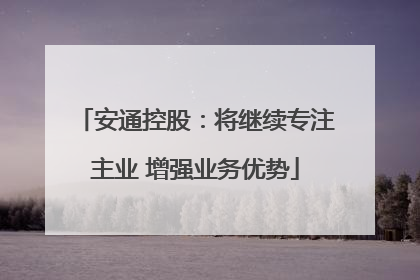 安通控股：将继续专注主业 增强业务优势