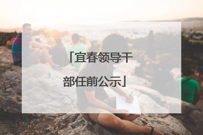 宜春领导干部任前公示