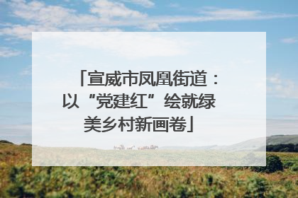 宣威市凤凰街道：以“党建红”绘就绿美乡村新画卷