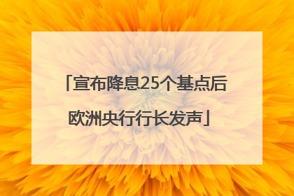 宣布降息25个基点后 欧洲央行行长发声