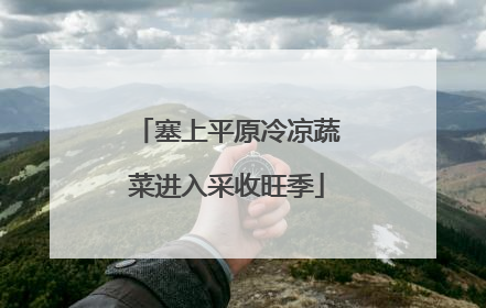 塞上平原冷凉蔬菜进入采收旺季