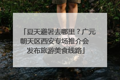 夏天避暑去哪里？广元朝天区西安专场推介会 发布旅游美食线路