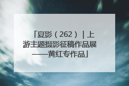 夏影（262）｜上游主题摄影征稿作品展——黄红专作品