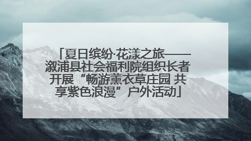 夏日缤纷·花漾之旅——溆浦县社会福利院组织长者开展“畅游薰衣草庄园 共享紫色浪漫”户外活动
