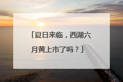 夏日来临，西湖六月黄上市了吗？