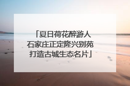 夏日荷花醉游人 石家庄正定隆兴别苑打造古城生态名片