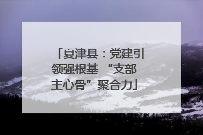 夏津县：党建引领强根基 “支部主心骨”聚合力