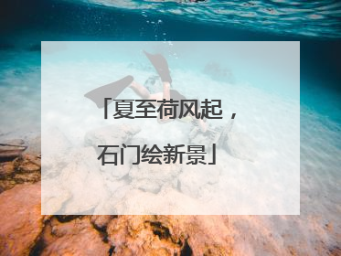 夏至荷风起，石门绘新景