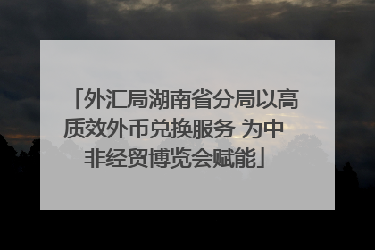 外汇局湖南省分局以高质效外币兑换服务 为中非经贸博览会赋能
