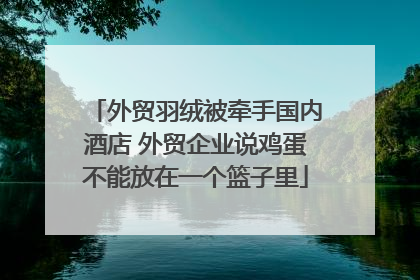 外贸羽绒被牵手国内酒店 外贸企业说鸡蛋不能放在一个篮子里