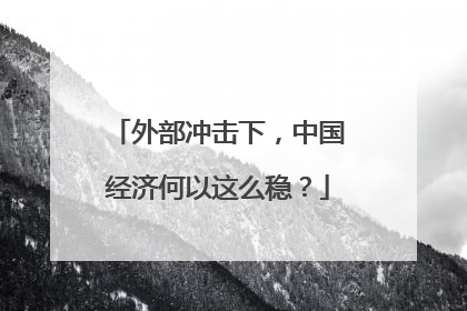 外部冲击下，中国经济何以这么稳？