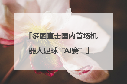 多图直击国内首场机器人足球“AI赛”