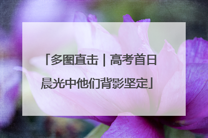多图直击｜高考首日 晨光中他们背影坚定
