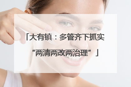 大有镇：多管齐下抓实“两清两改两治理”