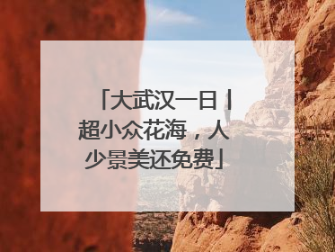 大武汉一日丨超小众花海，人少景美还免费