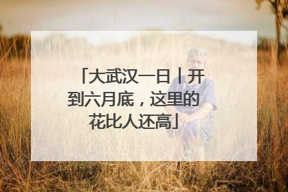 大武汉一日︱开到六月底，这里的花比人还高