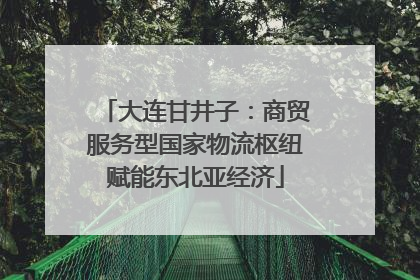 大连甘井子：商贸服务型国家物流枢纽赋能东北亚经济