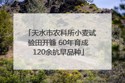 天水市农科所小麦试验田开镰 60年育成120余抗旱品种