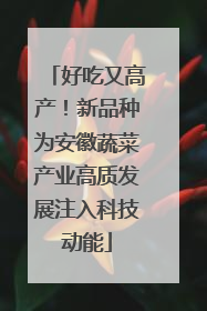 好吃又高产！新品种为安徽蔬菜产业高质发展注入科技动能