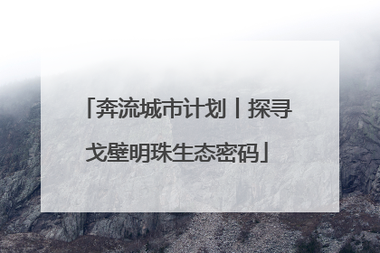 奔流城市计划丨探寻戈壁明珠生态密码