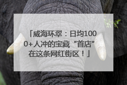 威海环翠：日均1000+人冲的宝藏“首店”在这条网红街区！