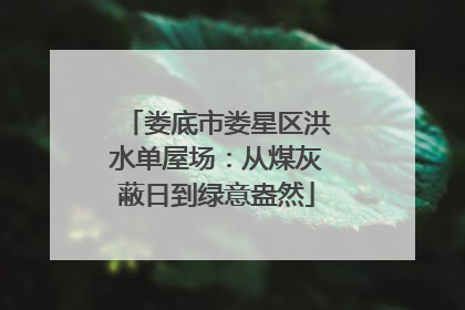 娄底市娄星区洪水单屋场：从煤灰蔽日到绿意盎然