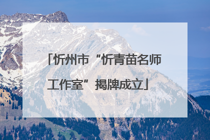 忻州市“忻青苗名师工作室”揭牌成立