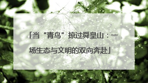 当“青鸟”掠过舜皇山：一场生态与文明的双向奔赴