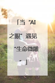 当“AI之眼”遇见“生命微雕”