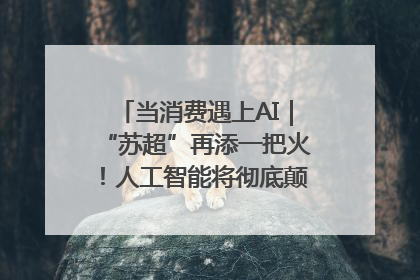 当消费遇上AI｜“苏超”再添一把火！人工智能将彻底颠覆绿茵场？