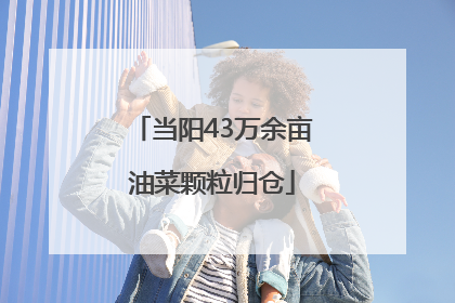 当阳43万余亩油菜颗粒归仓