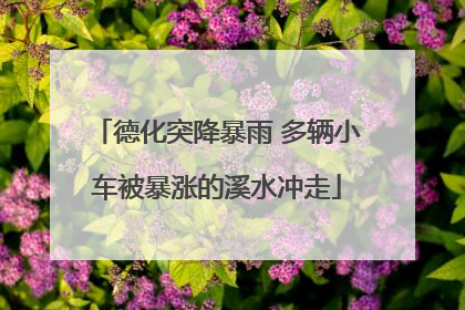 德化突降暴雨 多辆小车被暴涨的溪水冲走