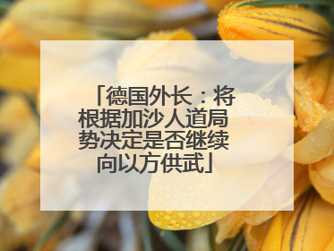 德国外长：将根据加沙人道局势决定是否继续向以方供武