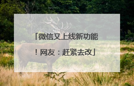 微信又上线新功能！网友：赶紧去改