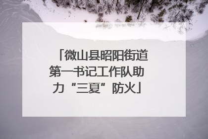微山县昭阳街道第一书记工作队助力“三夏”防火