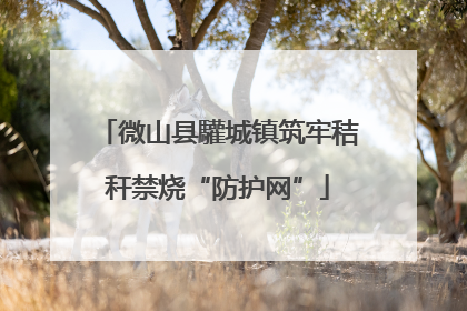 微山县驩城镇筑牢秸秆禁烧“防护网”