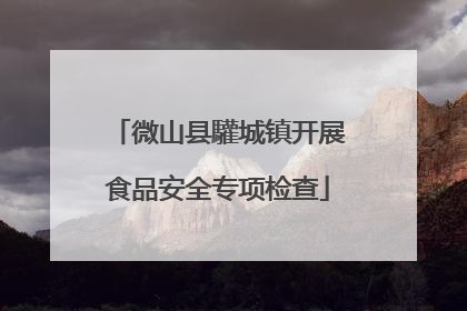 微山县驩城镇开展食品安全专项检查