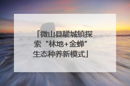 微山县驩城镇探索“林地+金蝉”生态种养新模式