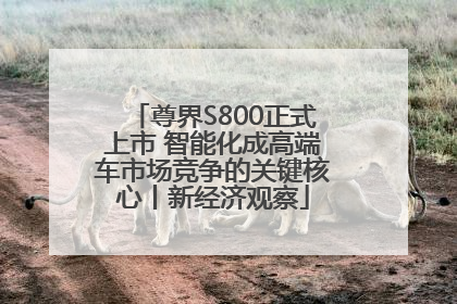 尊界S800正式上市 智能化成高端车市场竞争的关键核心丨新经济观察