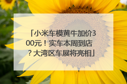 小米车模黄牛加价300元！实车本周到店？大湾区车展将亮相