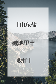 山东盐碱地里丰收忙