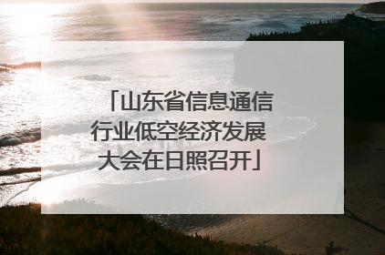 山东省信息通信行业低空经济发展大会在日照召开