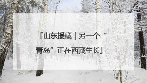 山东援藏｜另一个“青岛”正在西藏生长