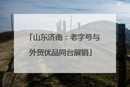 山东济南：老字号与外贸优品同台展销