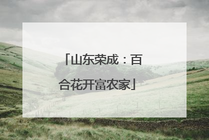 山东荣成：百合花开富农家