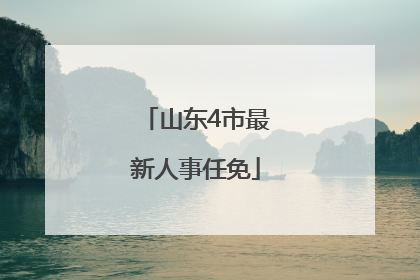 山东4市最新人事任免