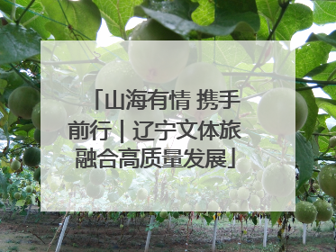 山海有情 携手前行｜辽宁文体旅融合高质量发展