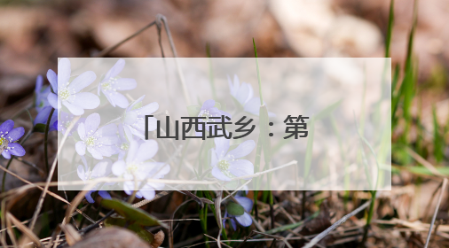 山西武乡：第十三届八路军文化旅游节举行