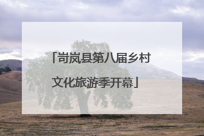 岢岚县第八届乡村文化旅游季开幕